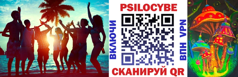 где купить наркотик  Сольцы  Псилоцибиновые грибы ЛСД 